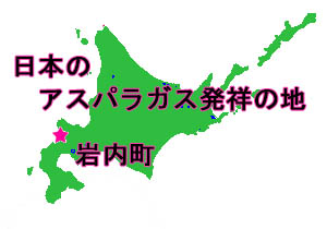 北海道 岩内 グリーンアスパラ ホワイトアスパラ 朝採り 露地栽培 期間限定 日本のアスパラガス発祥の地