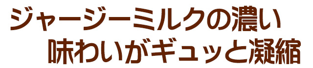 北海道 十勝ジャージー牛乳 加藤牧場 ミルクアイス 5個