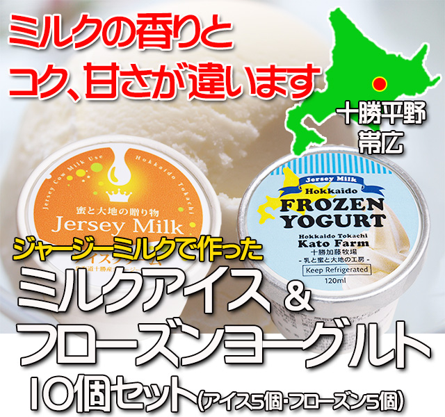 北海道 十勝ジャージー牛乳 加藤牧場 ミルクアイス フローズンヨーグルト 10個
