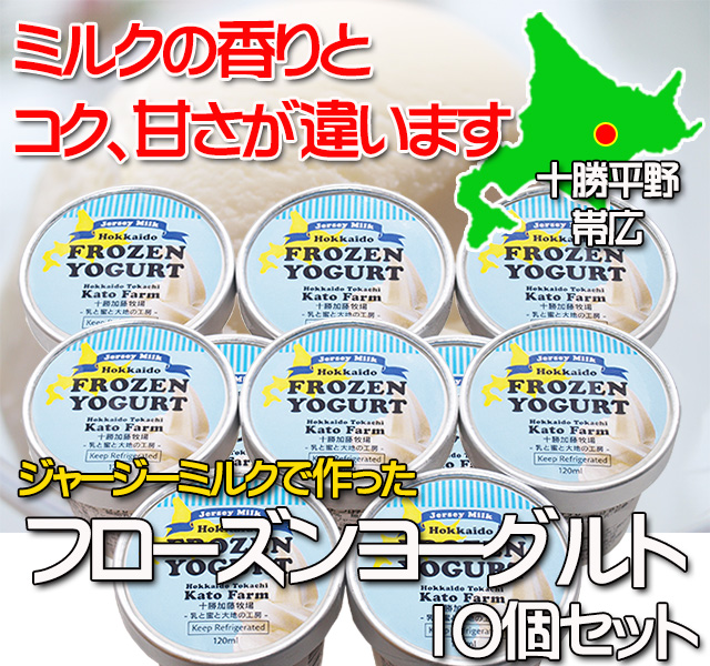 北海道 十勝ジャージー牛乳 加藤牧場 フローズンヨーグルト 10個