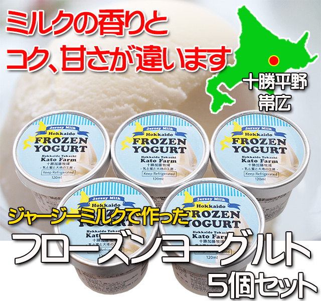 北海道 十勝ジャージー牛乳 加藤牧場 フローズンヨーグルト 5個