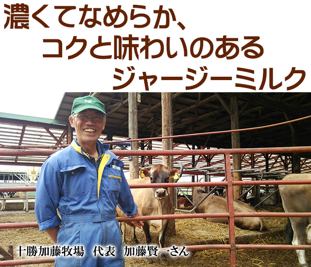 北海道 十勝ジャージー牛乳 加藤牧場 加藤牧場 フローズンヨーグルト 5個