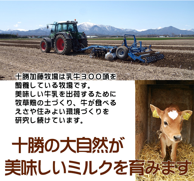 北海道 十勝ジャージー牛乳 加藤牧場 飲むヨーグルト 3種セット