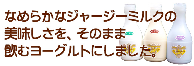北海道 十勝ジャージー牛乳 加藤牧場 飲むヨーグルト 3種セット