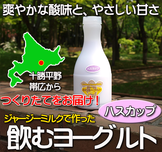 北海道 十勝ジャージー牛乳 加藤牧場 飲むヨーグルト ハスカップ 500ml 3本