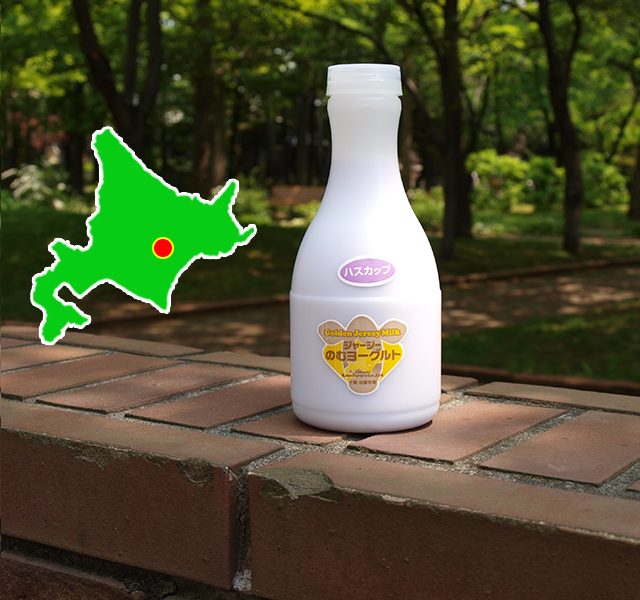 北海道 十勝ジャージー牛乳 加藤牧場 飲むヨーグルト ハスカップ500ml3本