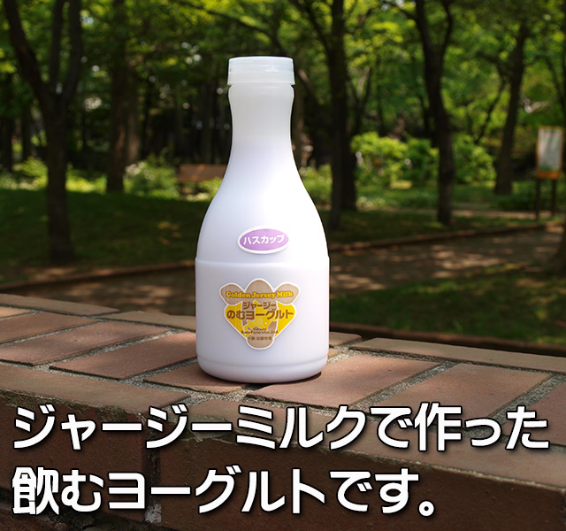北海道 十勝ジャージー牛乳 加藤牧場 飲むヨーグルト ハスカップ 500ml 3本