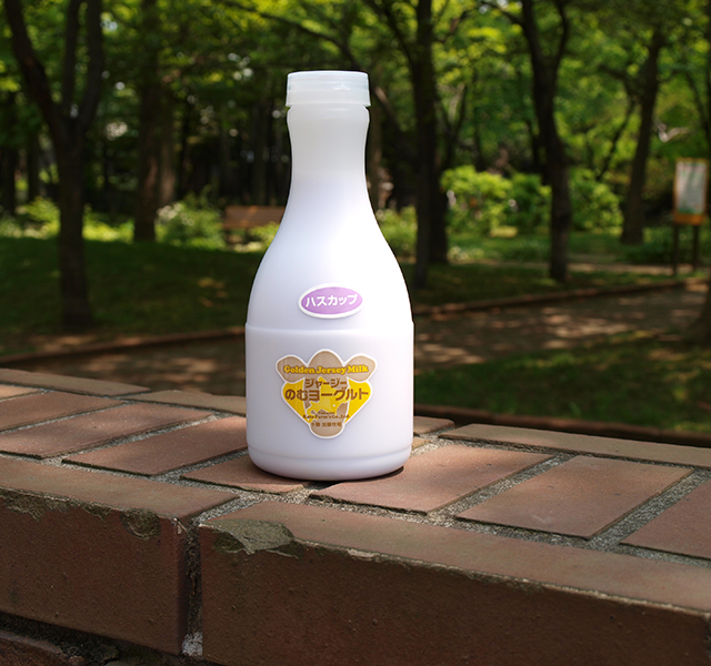 北海道 十勝ジャージー牛乳 加藤牧場 飲むヨーグルト ハスカップ500ml3本