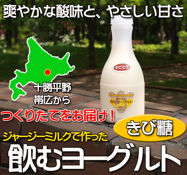 北海道 十勝ジャージー牛乳 加藤牧場 飲むヨーグルト きび糖500ml3本