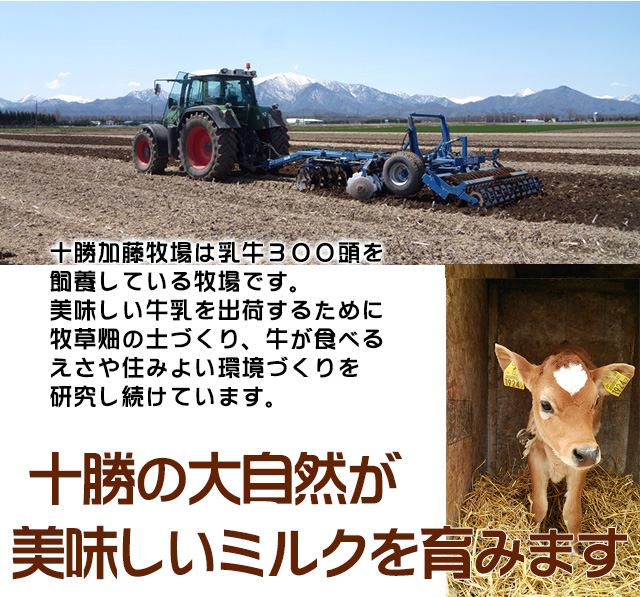北海道 十勝ジャージー牛乳 加藤牧場 飲むヨーグルト きび糖500ml3本