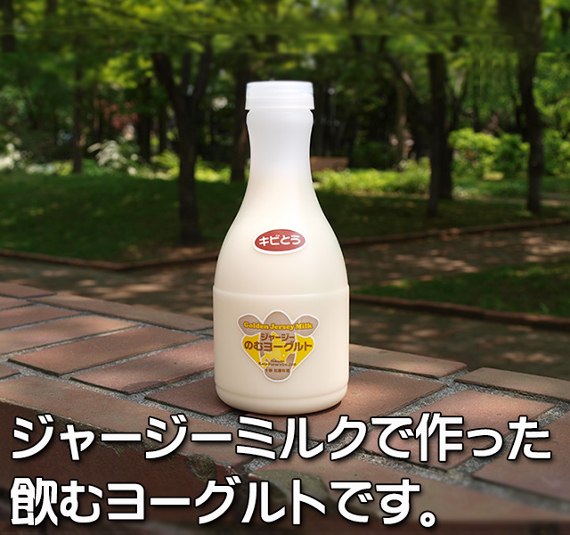 北海道 十勝ジャージー牛乳 加藤牧場 飲むヨーグルト きび糖500ml3本
