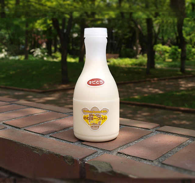 北海道 十勝ジャージー牛乳 加藤牧場 飲むヨーグルト きび糖500ml3本