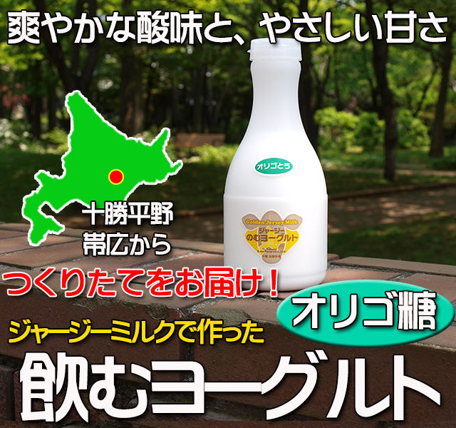 北海道 十勝ジャージー牛乳 加藤牧場 飲むヨーグルト オリゴ糖500ml3本