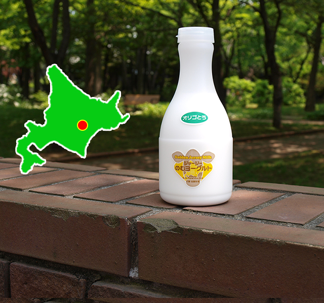 北海道 十勝ジャージー牛乳 加藤牧場 飲むヨーグルト オリゴ糖500ml3本