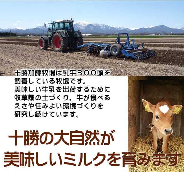 北海道 十勝ジャージー牛乳 加藤牧場 飲むヨーグルト オリゴ糖500ml3本