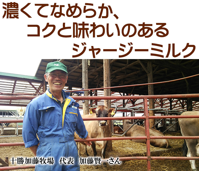北海道 十勝ジャージー牛乳 加藤牧場 飲むヨーグルト オリゴ糖500ml3本
