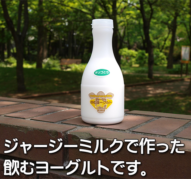 北海道 十勝ジャージー牛乳 加藤牧場 飲むヨーグルト オリゴ糖500ml3本