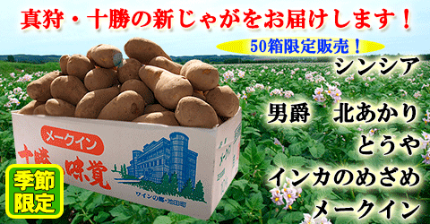 北海道　十勝池田　真狩　じゃがいも　とうや　男爵　北あかり　メークイン　インカのめざめ　シンシア　数量限定