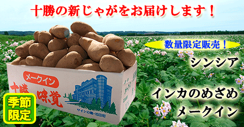 北海道　十勝池田　じゃがいも　メークイン　インカのめざめ　シンシア　数量限定