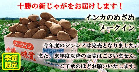 北海道　十勝池田　じゃがいも　メークイン　インカのめざめ　シンシア　数量限定