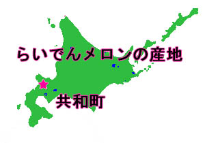 北海道　共和町　らいでんメロン　雷電　メロン　期間限定