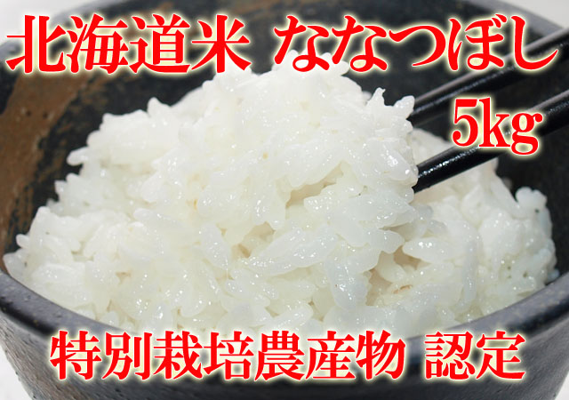 北海道米 お米 南幌町 ななつぼし 美味しい北海道米 5kg