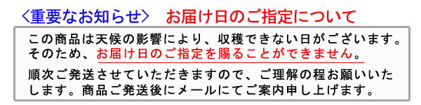 小野メロン