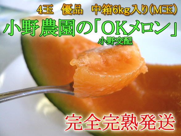完全完熟発送!小野農園の「OKメロン」