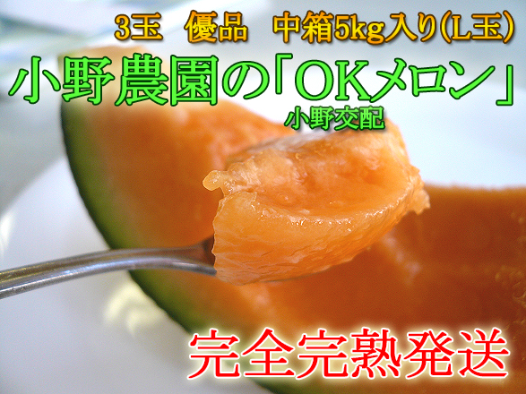完全完熟発送!小野農園の「OKメロン」