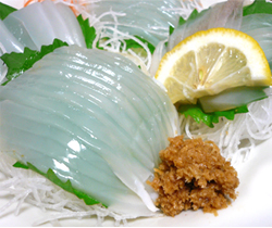 北海道 札幌 山わさび オリオン食品