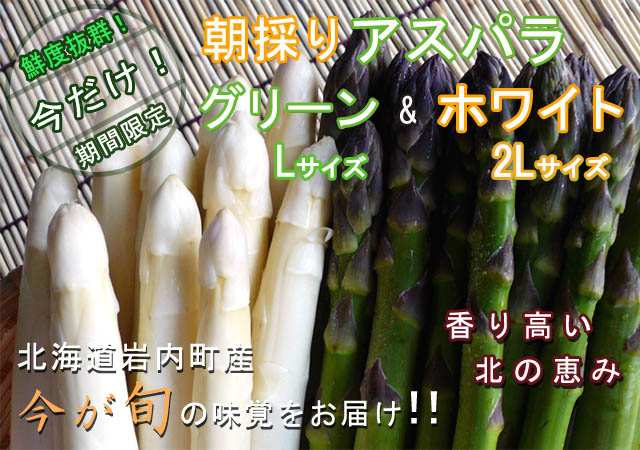 北海道岩内町産 朝採りアスパラ グリーン&ホワイト(L)