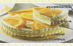 大人気　札幌スイーツ　わらく堂　スイートオーケストラ　オレンジ＆バターケーキ