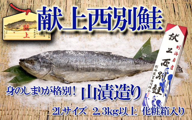西別鮭 別海町 伝統製法の鮭 徳川家献上