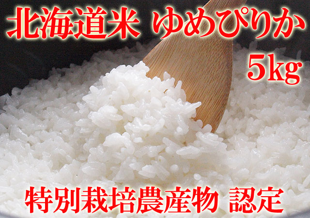 北海道米 お米 南幌町 ゆめぴりか 美味しい北海道米
