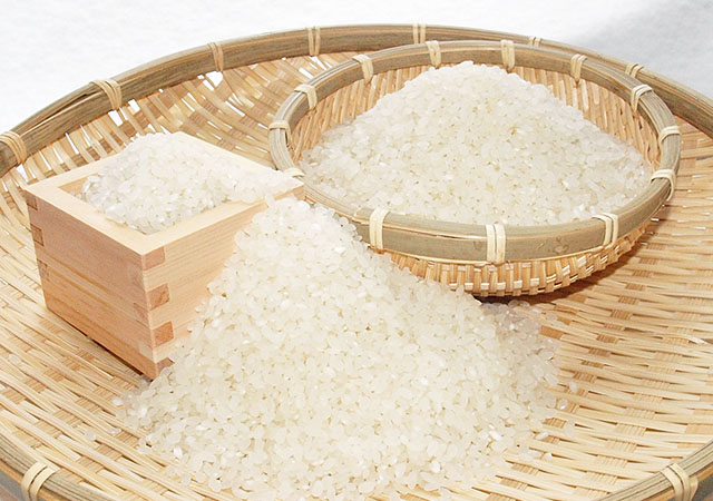 北海道米 南幌町 ななつぼし 美味しい北海道米 10kg