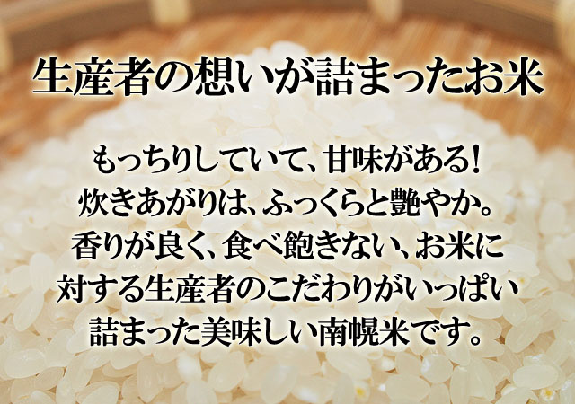 北海道米 南幌町 ななつぼし 美味しい北海道米 10kg