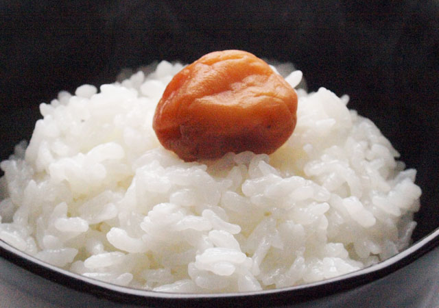 北海道米 南幌町 ゆめぴりか 美味しい北海道米 10kg