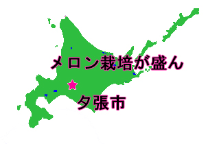 北海道 夕張市 紅葉山 夕張紅葉山 小野メロン メロン ルピアレッド 期間限定
